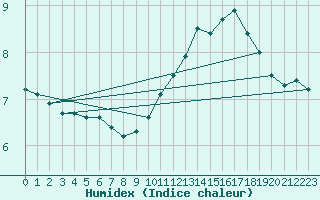 Courbe de l'humidex pour Brion (38)