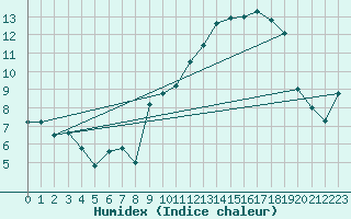 Courbe de l'humidex pour Saint-Hubert (Be)