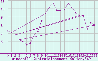 Courbe du refroidissement olien pour Machichaco Faro