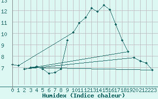 Courbe de l'humidex pour Erfde