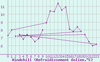 Courbe du refroidissement olien pour Wynau