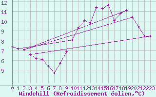 Courbe du refroidissement olien pour Baraque Fraiture (Be)