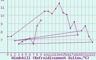 Courbe du refroidissement olien pour Oschatz