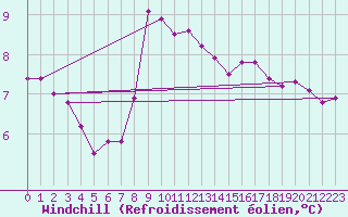 Courbe du refroidissement olien pour Zeebrugge