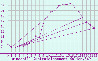 Courbe du refroidissement olien pour Braganca