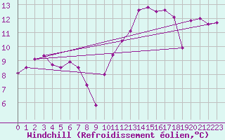 Courbe du refroidissement olien pour Tauxigny (37)