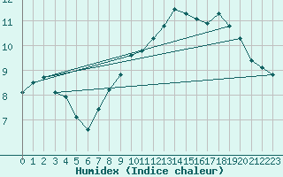 Courbe de l'humidex pour Munte (Be)