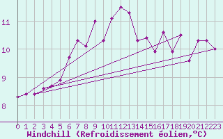 Courbe du refroidissement olien pour Dimitrovgrad