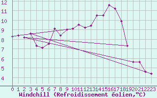 Courbe du refroidissement olien pour Wernigerode
