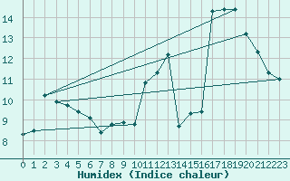 Courbe de l'humidex pour Waren