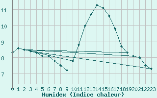 Courbe de l'humidex pour Florennes (Be)