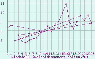 Courbe du refroidissement olien pour Jabbeke (Be)