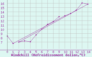 Courbe du refroidissement olien pour Neuhaus A. R.