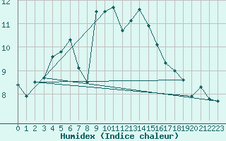Courbe de l'humidex pour Elzach-Fisnacht