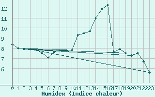 Courbe de l'humidex pour Offenbach Wetterpar
