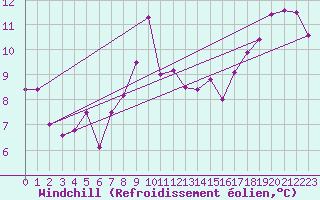 Courbe du refroidissement olien pour Zeebrugge