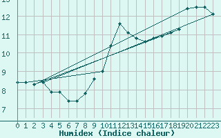 Courbe de l'humidex pour Thomastown
