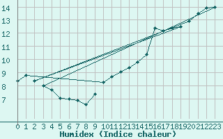 Courbe de l'humidex pour Torungen Fyr