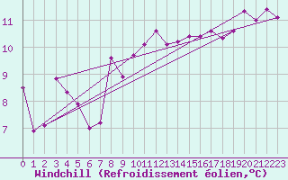 Courbe du refroidissement olien pour Manston (UK)