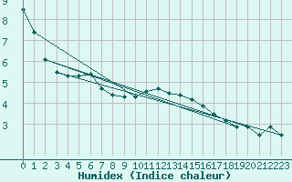 Courbe de l'humidex pour Wolfsegg