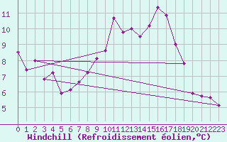 Courbe du refroidissement olien pour Schauenburg-Elgershausen