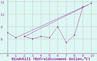 Courbe du refroidissement olien pour Saerheim