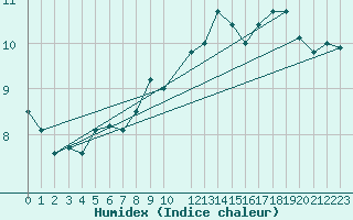 Courbe de l'humidex pour Rauma Kylmapihlaja
