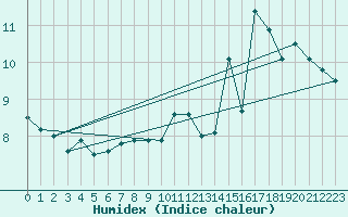 Courbe de l'humidex pour Bas Caraquet
