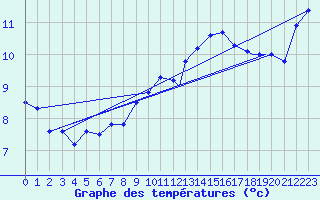 Courbe de tempratures pour Hasvik