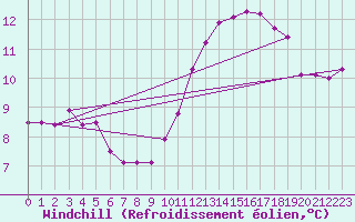 Courbe du refroidissement olien pour Kleine-Brogel (Be)