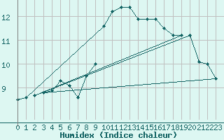 Courbe de l'humidex pour Fister Sigmundstad