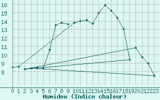 Courbe de l'humidex pour Birx/Rhoen