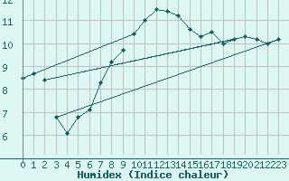 Courbe de l'humidex pour Sigmarszell-Zeiserts
