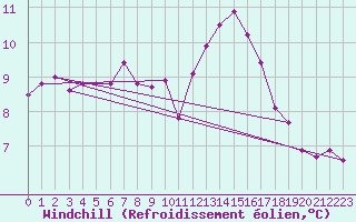 Courbe du refroidissement olien pour Albert-Bray (80)