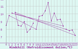 Courbe du refroidissement olien pour Schpfheim