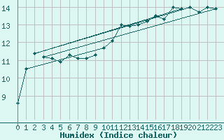 Courbe de l'humidex pour Koksijde (Be)