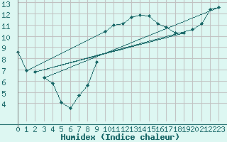 Courbe de l'humidex pour Rochefort Saint-Agnant (17)