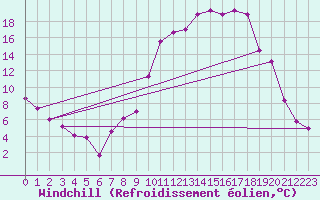 Courbe du refroidissement olien pour Chinchilla