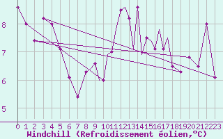 Courbe du refroidissement olien pour Shoream (UK)