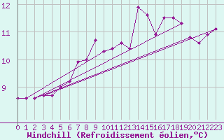 Courbe du refroidissement olien pour Capel Curig