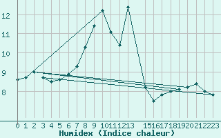 Courbe de l'humidex pour Monte S. Angelo