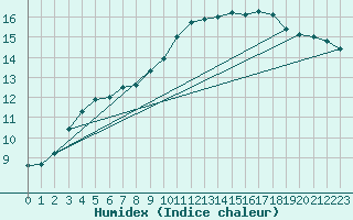 Courbe de l'humidex pour Hestrud (59)