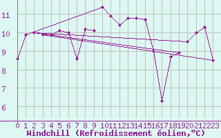 Courbe du refroidissement olien pour Terschelling Hoorn