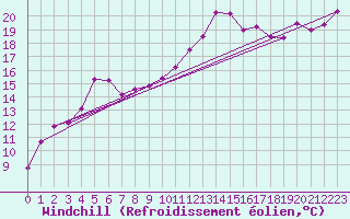 Courbe du refroidissement olien pour Machichaco Faro