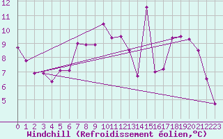 Courbe du refroidissement olien pour Kleine-Brogel (Be)