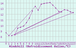 Courbe du refroidissement olien pour Offenbach Wetterpar