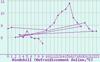 Courbe du refroidissement olien pour Tour-en-Sologne (41)