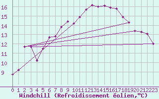 Courbe du refroidissement olien pour Lelystad