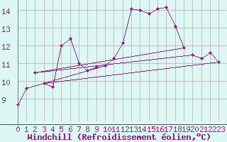Courbe du refroidissement olien pour Amur (79)
