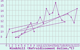 Courbe du refroidissement olien pour Machichaco Faro